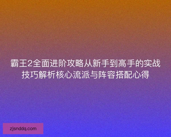 霸王2全面进阶攻略从新手到高手的实战技巧解析核心流派与阵容搭配心得