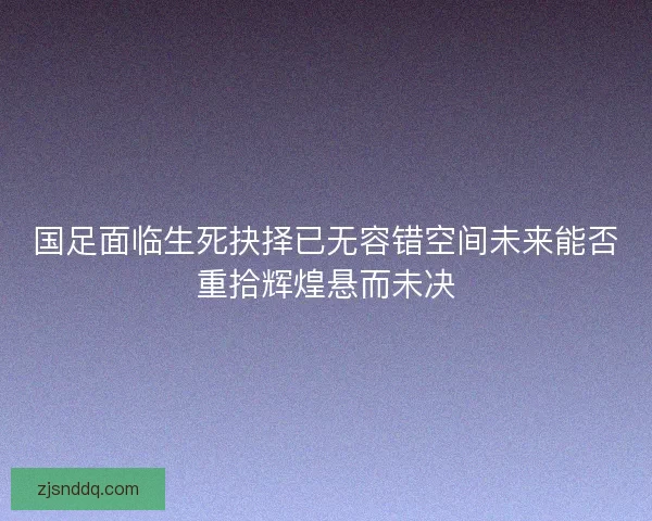 国足面临生死抉择已无容错空间未来能否重拾辉煌悬而未决 国足面临生死抉择已无容错空间未来能否重拾辉煌悬而未决